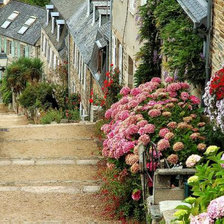 Схема вышивки «Прованс»