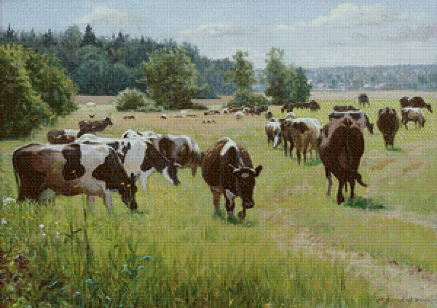 коровы - животные, коровы, картины - предпросмотр