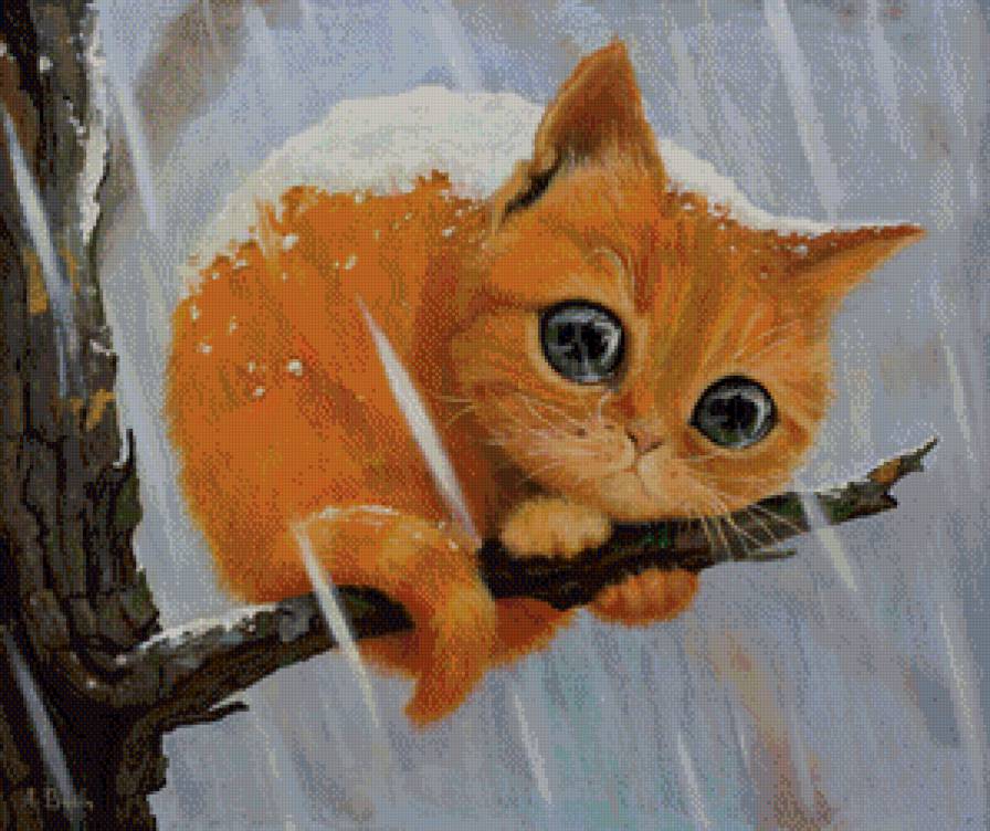 Котенок - рыжий, животные, кот - предпросмотр