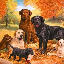 Схема вышивки «№725941»