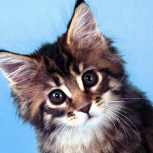 Схема вышивки «милашка»