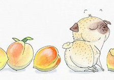 Схема вышивки «чернильный мопс)»