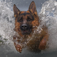 Схема вышивки «купание»