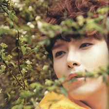 Схема вышивки «Рёук»