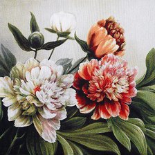 Схема вышивки «пионы»