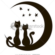 Монохром.Забавные котята1