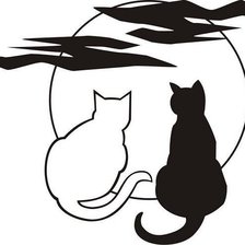 Моннохром. Забавные котята 10