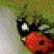 Предпросмотр схемы вышивки «Божьи коровки» (№726321)