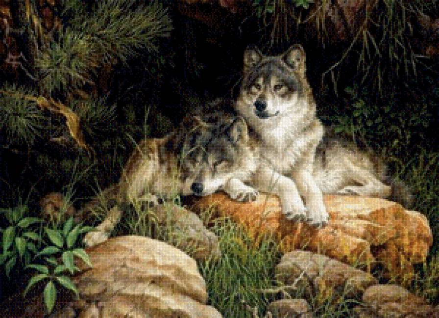 Волки на отдыхе - животные, волки, картины - предпросмотр