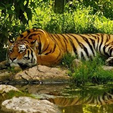 Схема вышивки «№726444»