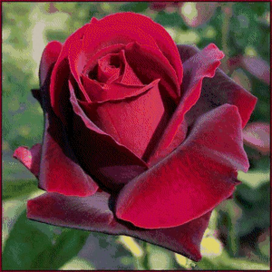 серия "подушки" - подушка.розы - предпросмотр