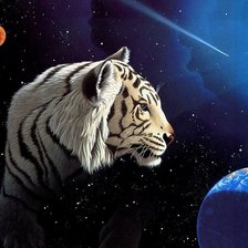 Схема вышивки «тигр»