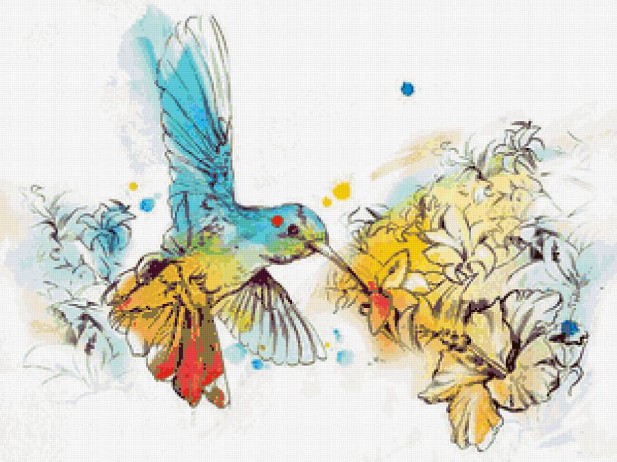 Колибри - птичка, колибри, тату, цвет - предпросмотр