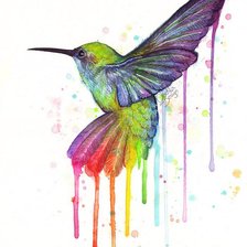 Схема вышивки «Колибри»