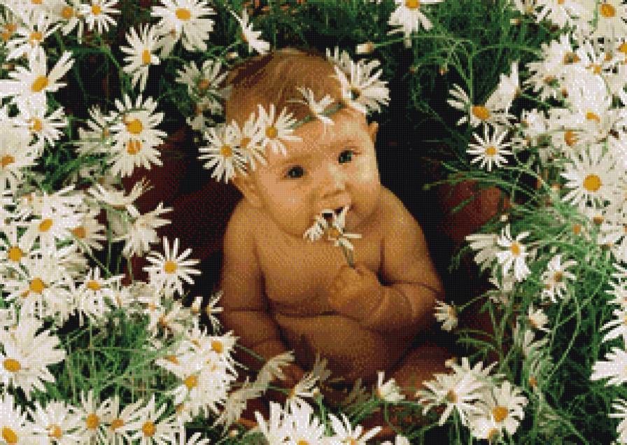 Малыш и ромашки - малыш, ромашки - предпросмотр