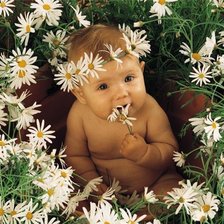 Схема вышивки «Малыш и ромашки»