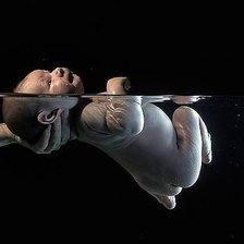 Схема вышивки «Первое купание2»