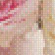 Предпросмотр схемы вышивки «Розы» (№726862)