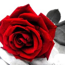 Схема вышивки «эмблема любви»