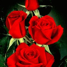 Схема вышивки «розы»