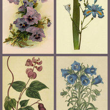 Схема вышивки «Букетики 4»