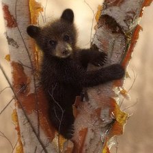 Схема вышивки «Мишутка»