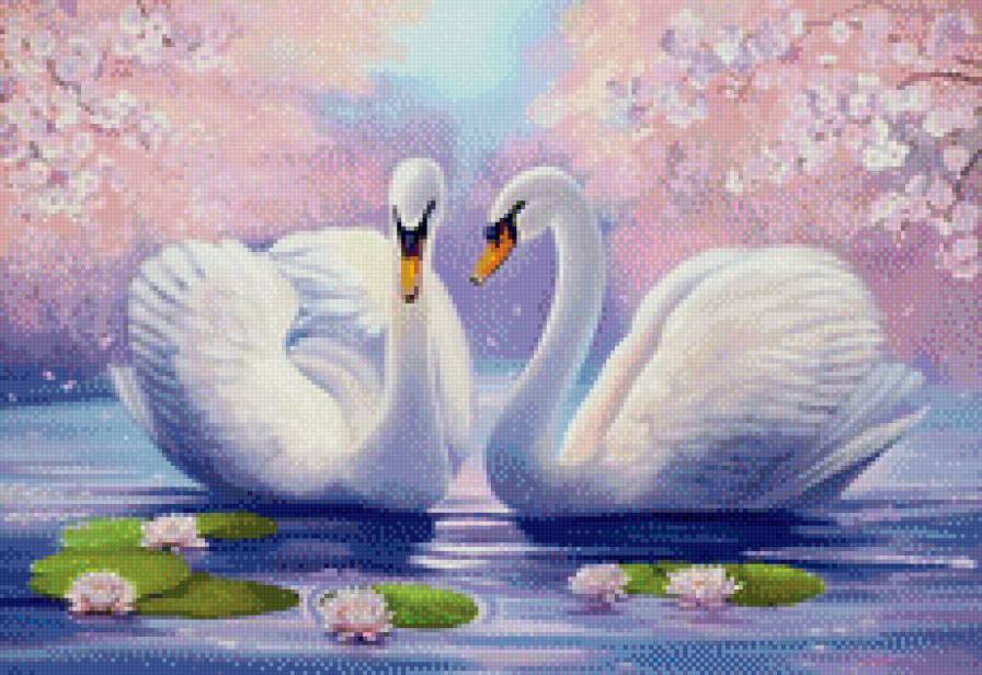 лебеди - лебеди, лебединая верность, лебедушка - предпросмотр