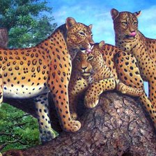 Схема вышивки «№727045»