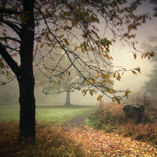 Схема вышивки «осень в парке»