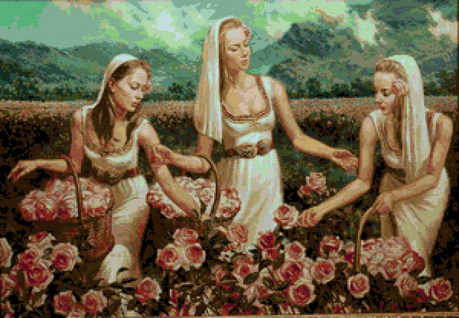 розоберачки - предпросмотр