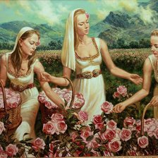 Схема вышивки «розоберачки»