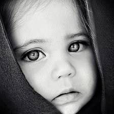 Схема вышивки «лапочка»