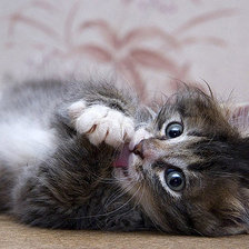 Схема вышивки «котенок»