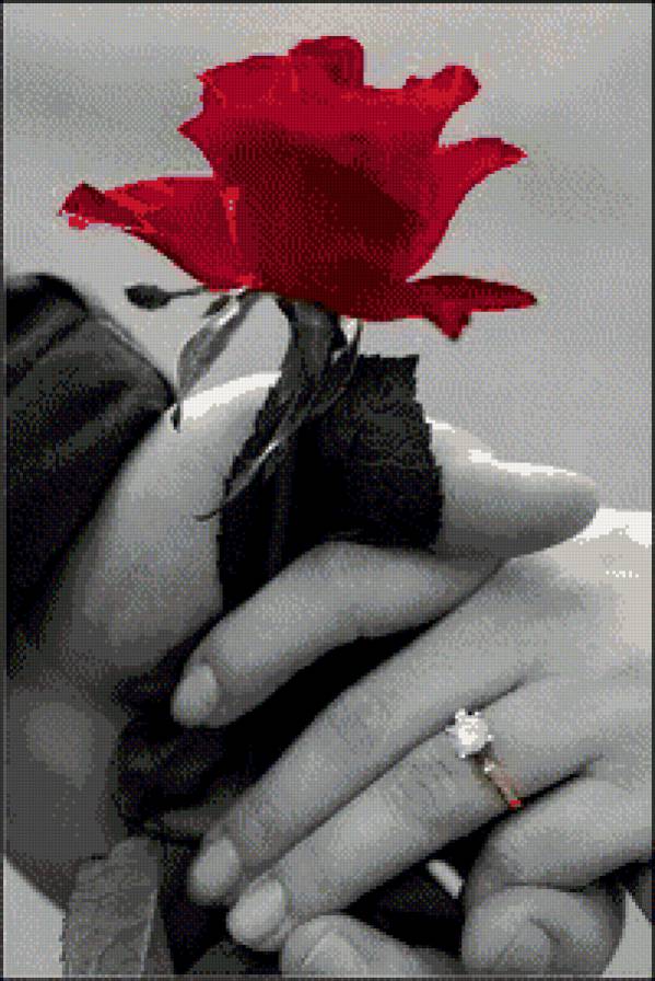 вместе - предпросмотр