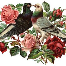 Схема вышивки «серия "птицы"»