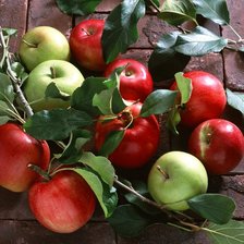 Схема вышивки «яблоки»