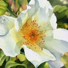 Схема вышивки «№727306»