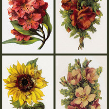 Схема вышивки «букетики 3-1»