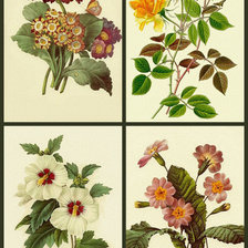 Схема вышивки «букетики 1-1»