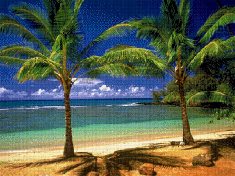 Лазурный берег - пальмы, море, берег, вода - предпросмотр