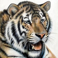 Схема вышивки «тигр»
