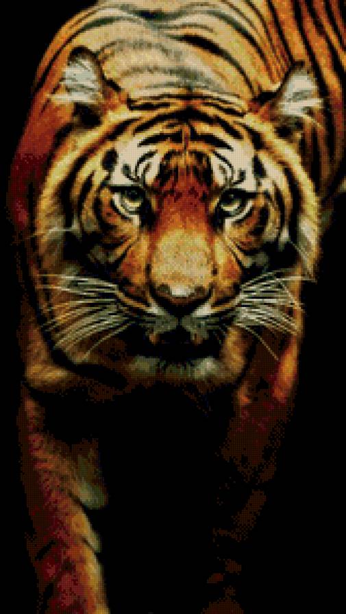 тигр - дикие животные - предпросмотр