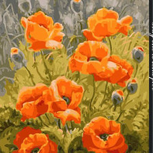 Схема вышивки «Маки»