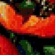 Предпросмотр схемы вышивки «Букет красных маков» (№727482)