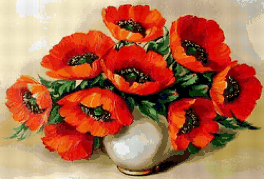 Букет красных маков - цветы - предпросмотр