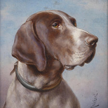 Схема вышивки «Dog»