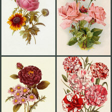 Схема вышивки «Букетики 14»