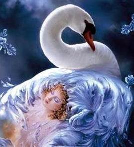 красавица и лебедь - птица.женщина.лебедь - оригинал