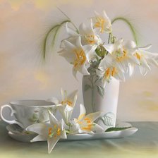 белые лилии