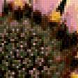 Предпросмотр схемы вышивки «цветы» (№727855)